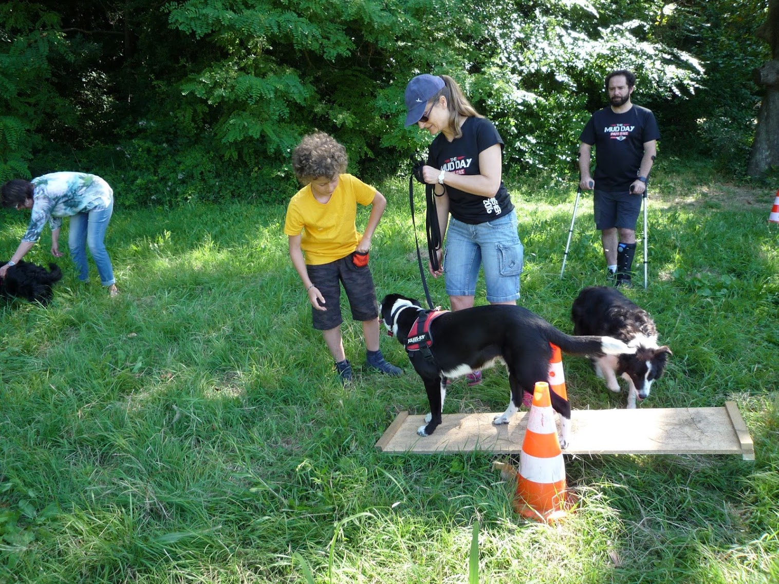 Dogspirit - cours collectif, initiation à l'agility - 25 juin 2016