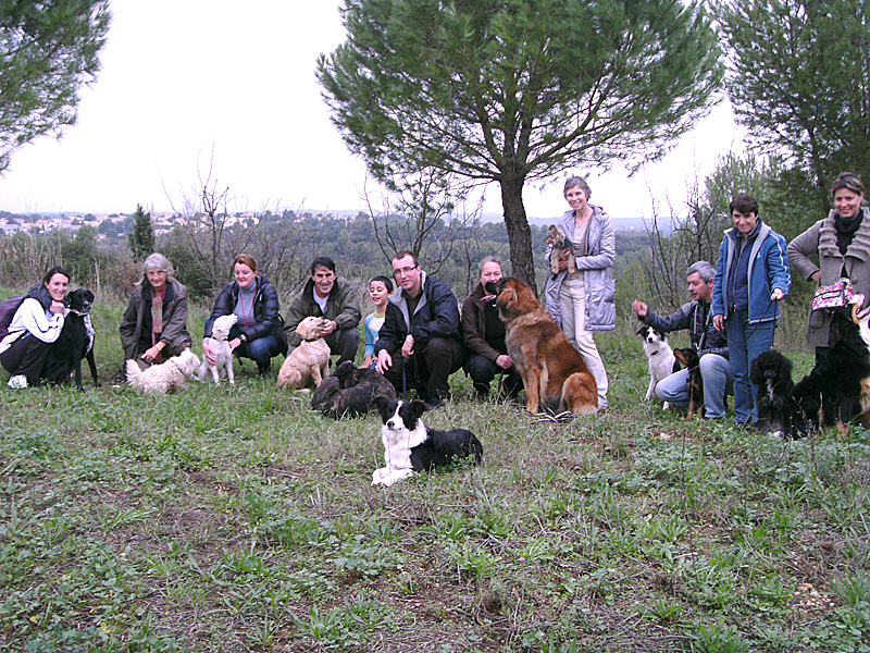 Dogspirit - Balade éducative - Cours collectif - 12 novembre 2011