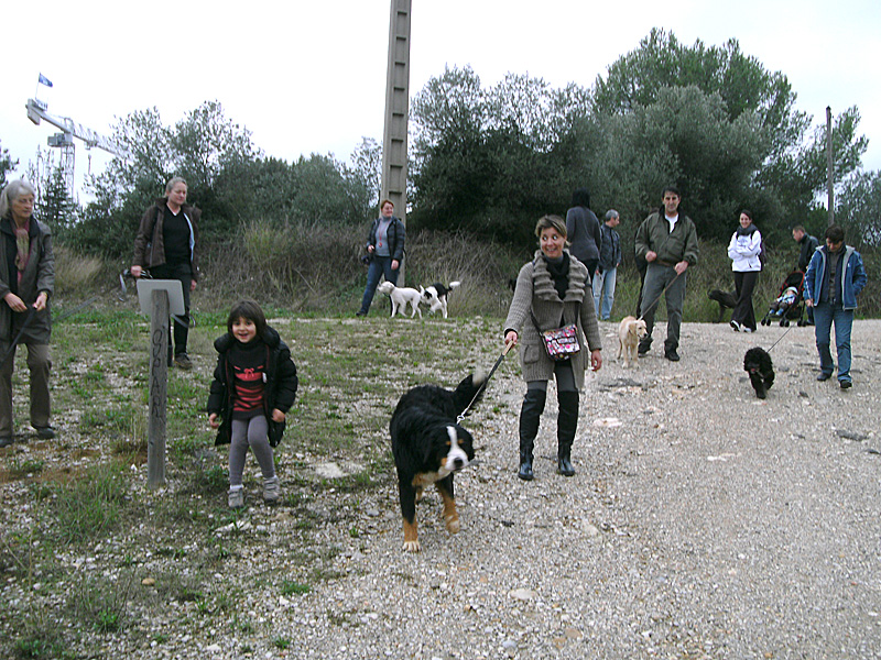 Dogspirit - Balade éducative - Cours collectif - 12 novembre 2011