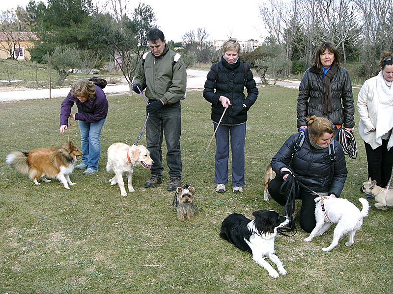 Dogspirit - Balade éducative - Cours collectif - 29 janvier 2012