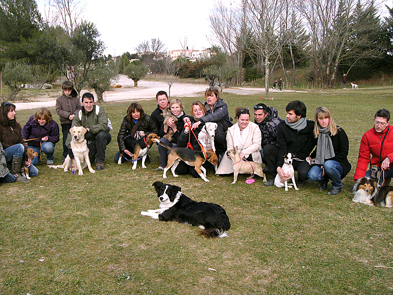 Dogspirit - Balade éducative - Cours collectif - 29 janvier 2012