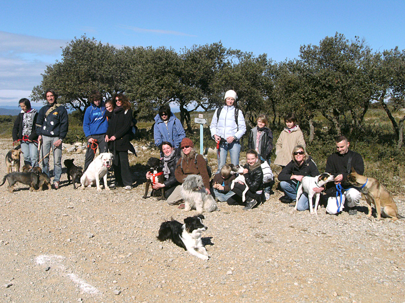 Dogspirit - Balade éducative - Cours collectif - 19 février 2012