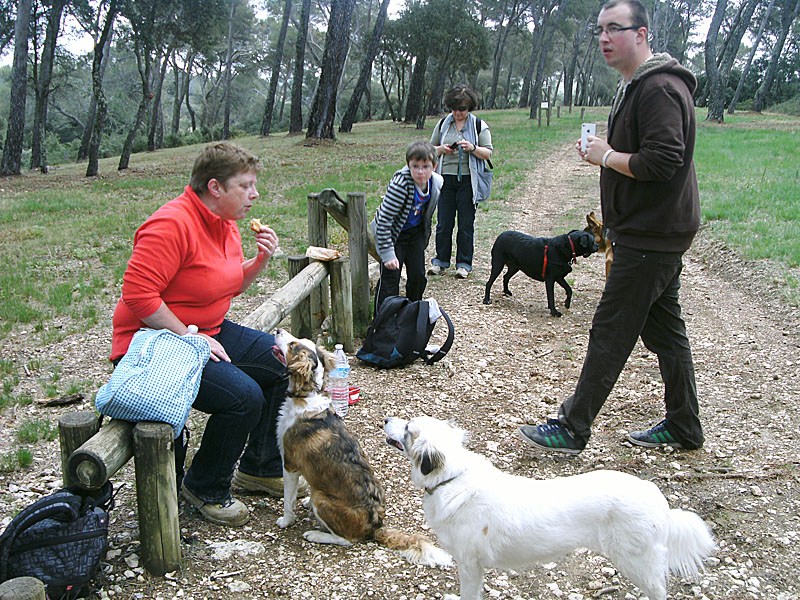Dogspirit - Balade éducative - Cours collectif - 29 avril 2012