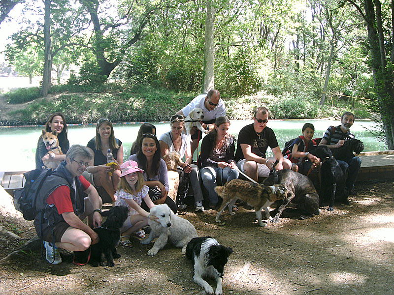 Dogspirit - Balade éducative - Cours collectif - 9 juin 2012
