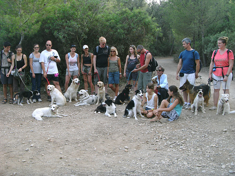 Dogspirit - Balade éducative - Cours collectif - 19 août 2012