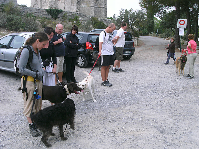 Dogspirit - Balade éducative - Cours collectif - 23 septembre 2012