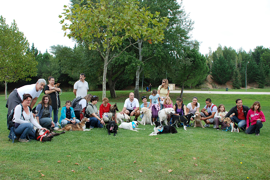 Dogspirit - Balade éducative - Cours collectif - 7 octobre 2012