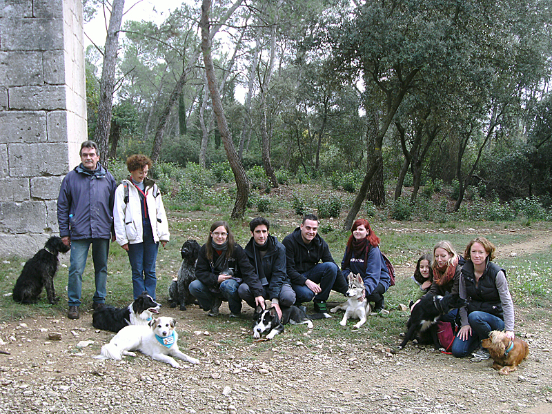 Dogspirit - Balade éducative - Cours collectif - 18 novembre 2012