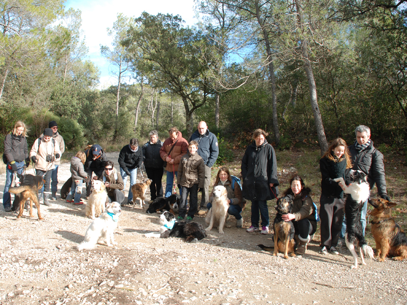 Dogspirit - Balade éducative - Cours collectif - 20 janvier 2013