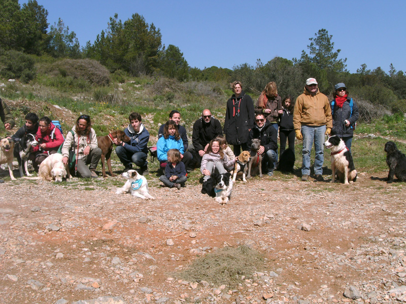 Dogspirit - Balade éducative - Cours collectif - 7 avril 2013
