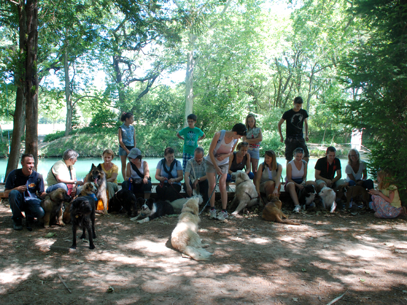 Dogspirit - Balade éducative - Cours collectif - 22 juin 2013