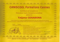 Dogspirit - certificat des connaissances, Caniscool