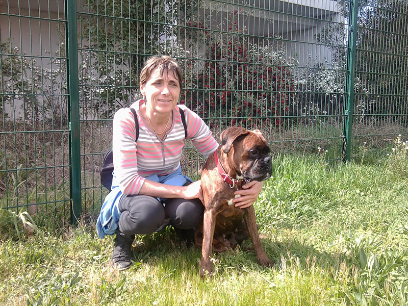 Dogspirit - Livre d'or - Boxer un chien formidable