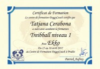 tatjana_cerabona_treibball_niveau1